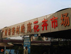 搭车地铁买家具-广州岭南花卉市场